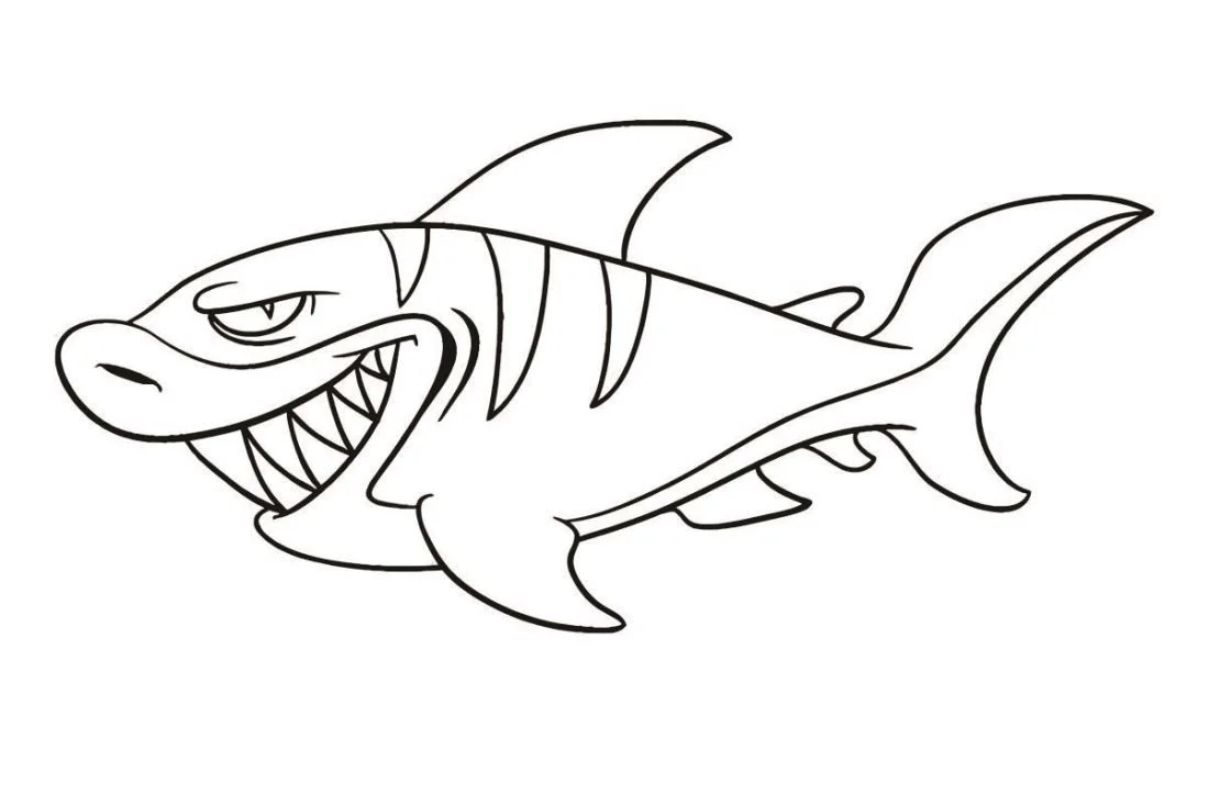 Shark coloring page (50)