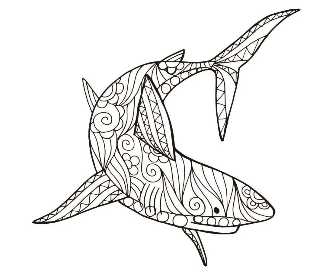 Shark coloring page (55)