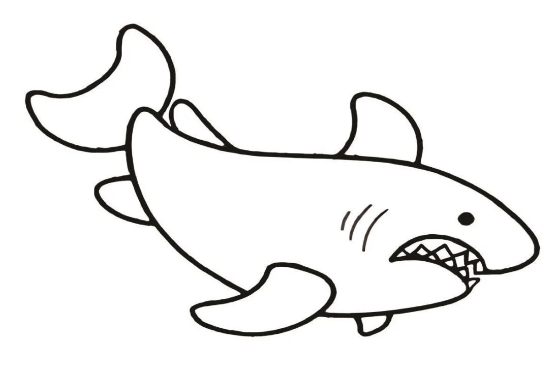 Shark coloring page (57)