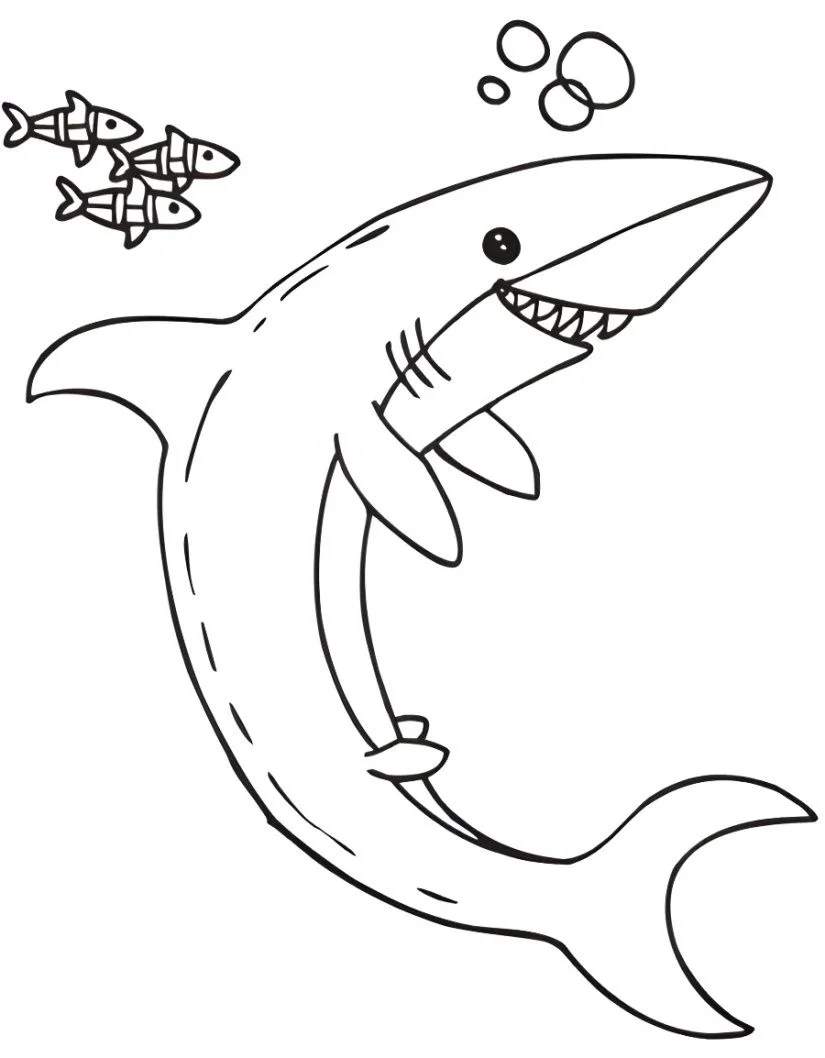 Shark coloring page (63)