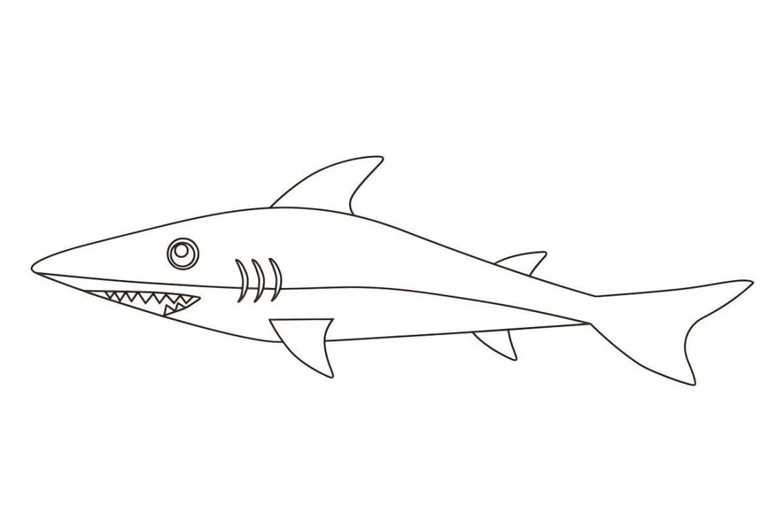 Shark coloring page (65)