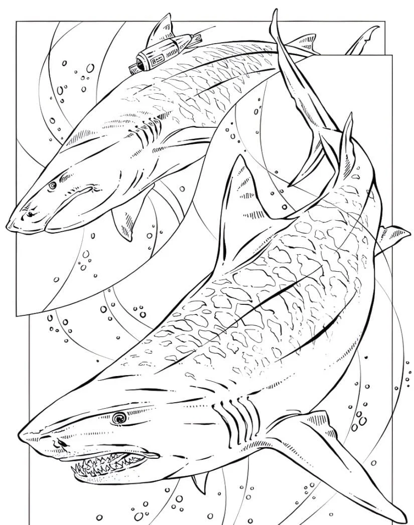 Shark coloring page (70)