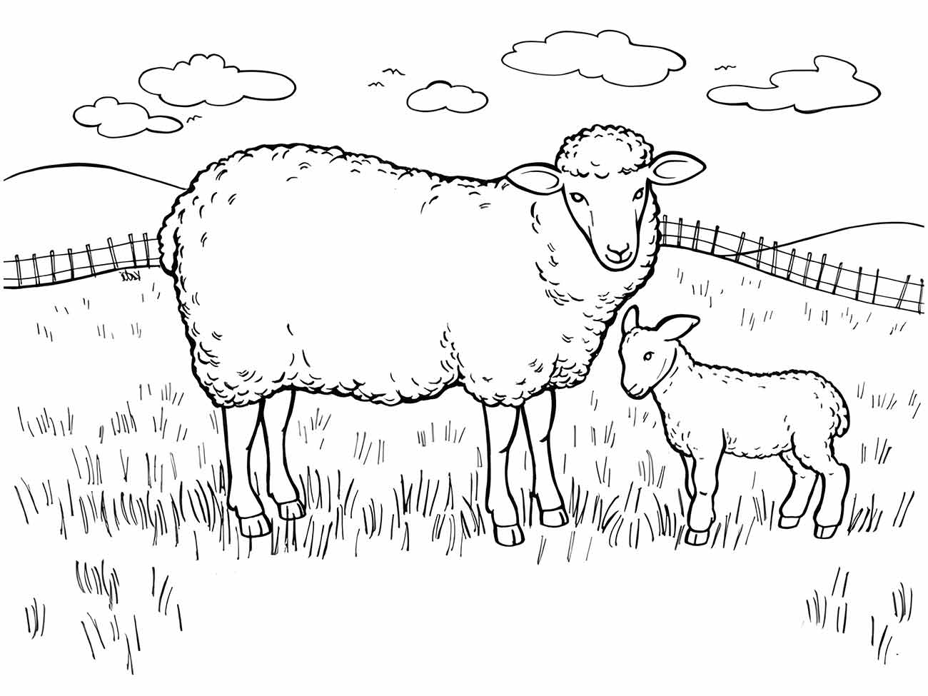 Sheep coloring page (14)