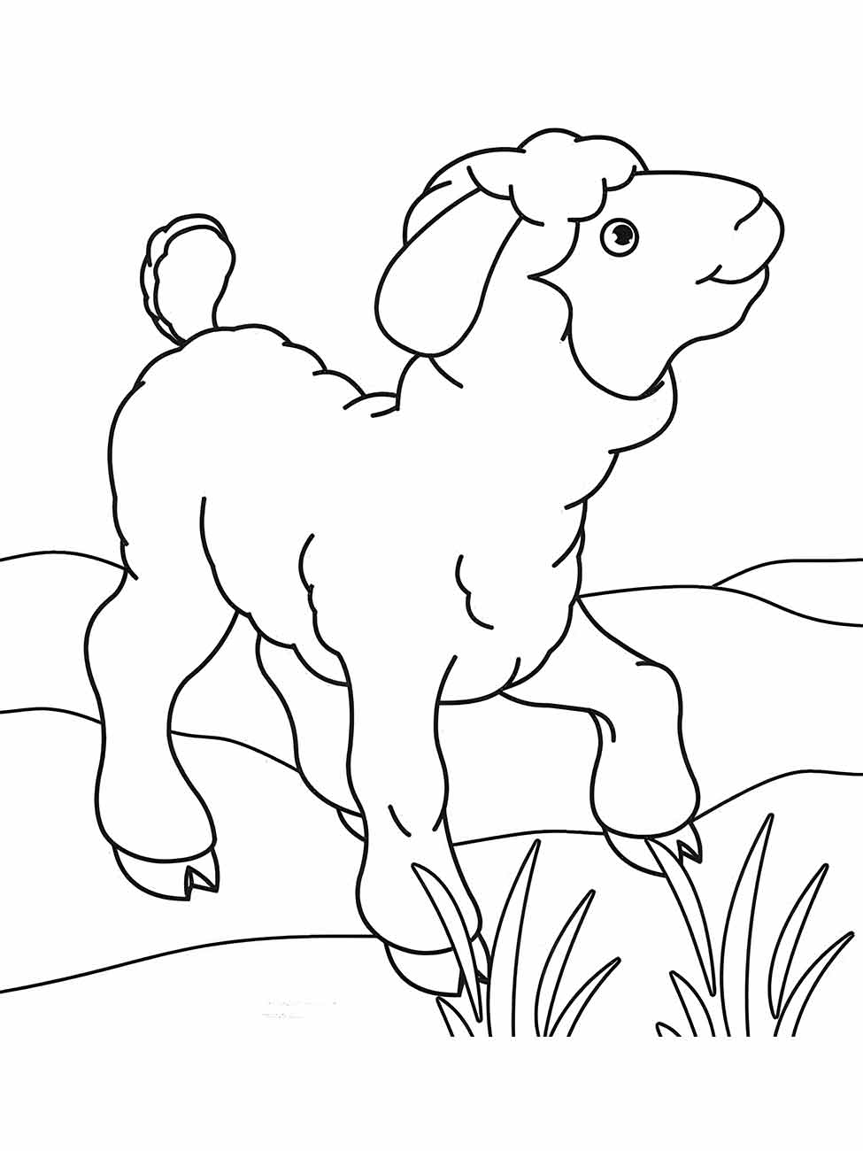 Sheep coloring page (3)