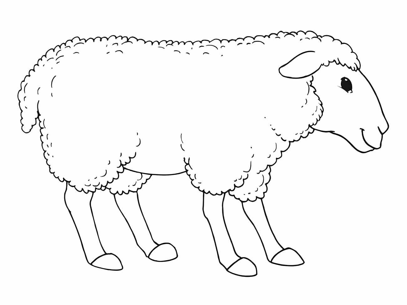 Sheep coloring page (36)