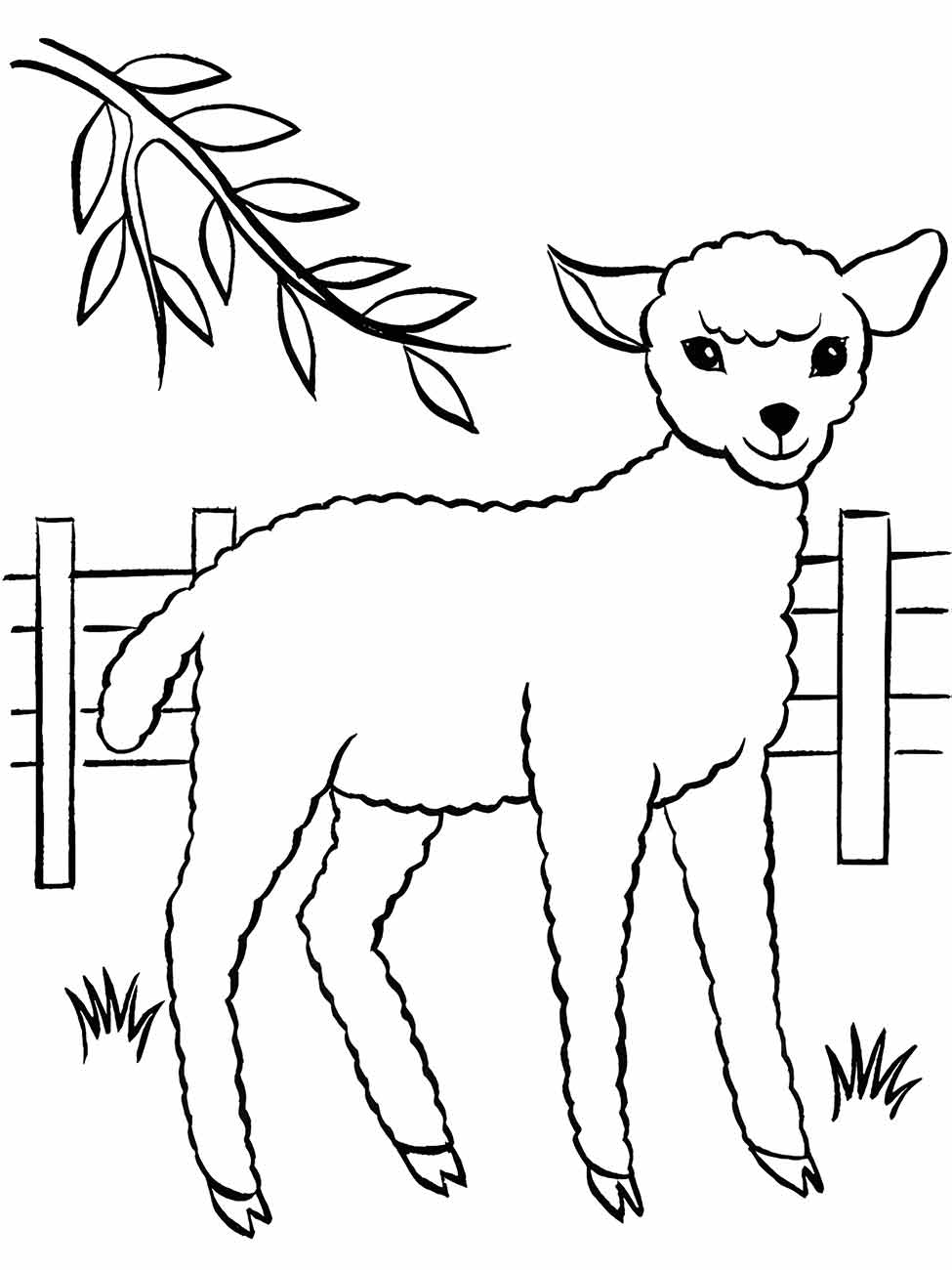 Sheep coloring page (8)