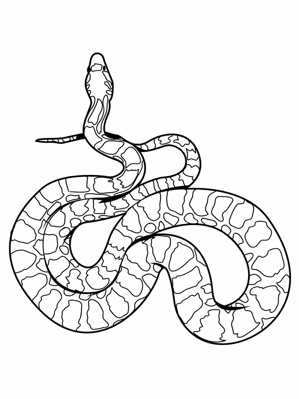 Snakes coloring page (1)