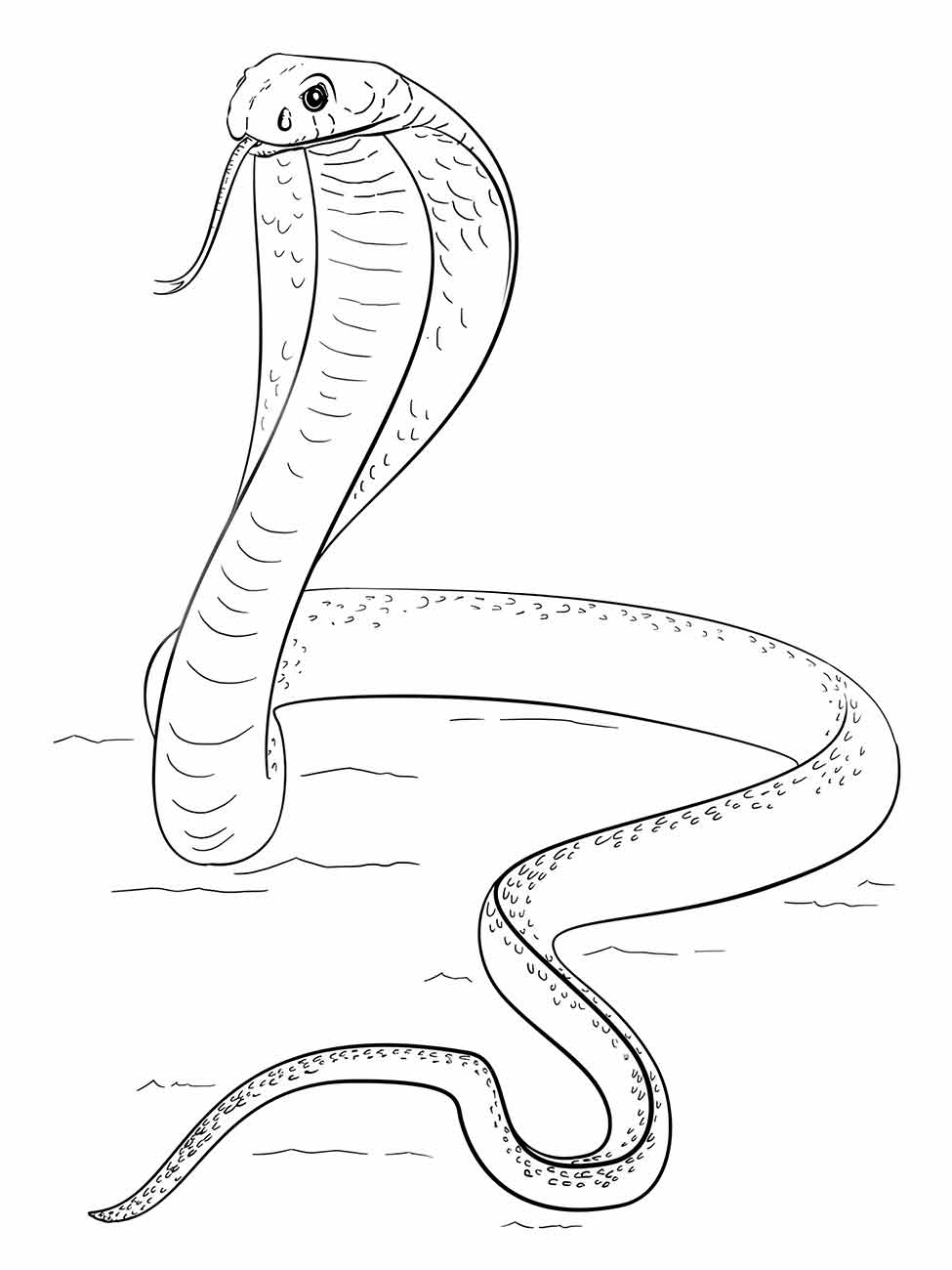 Snakes coloring page (10)