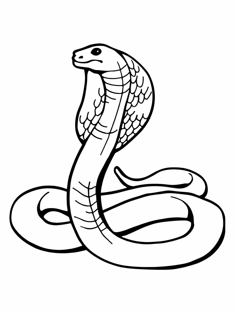 Snakes coloring page (12)