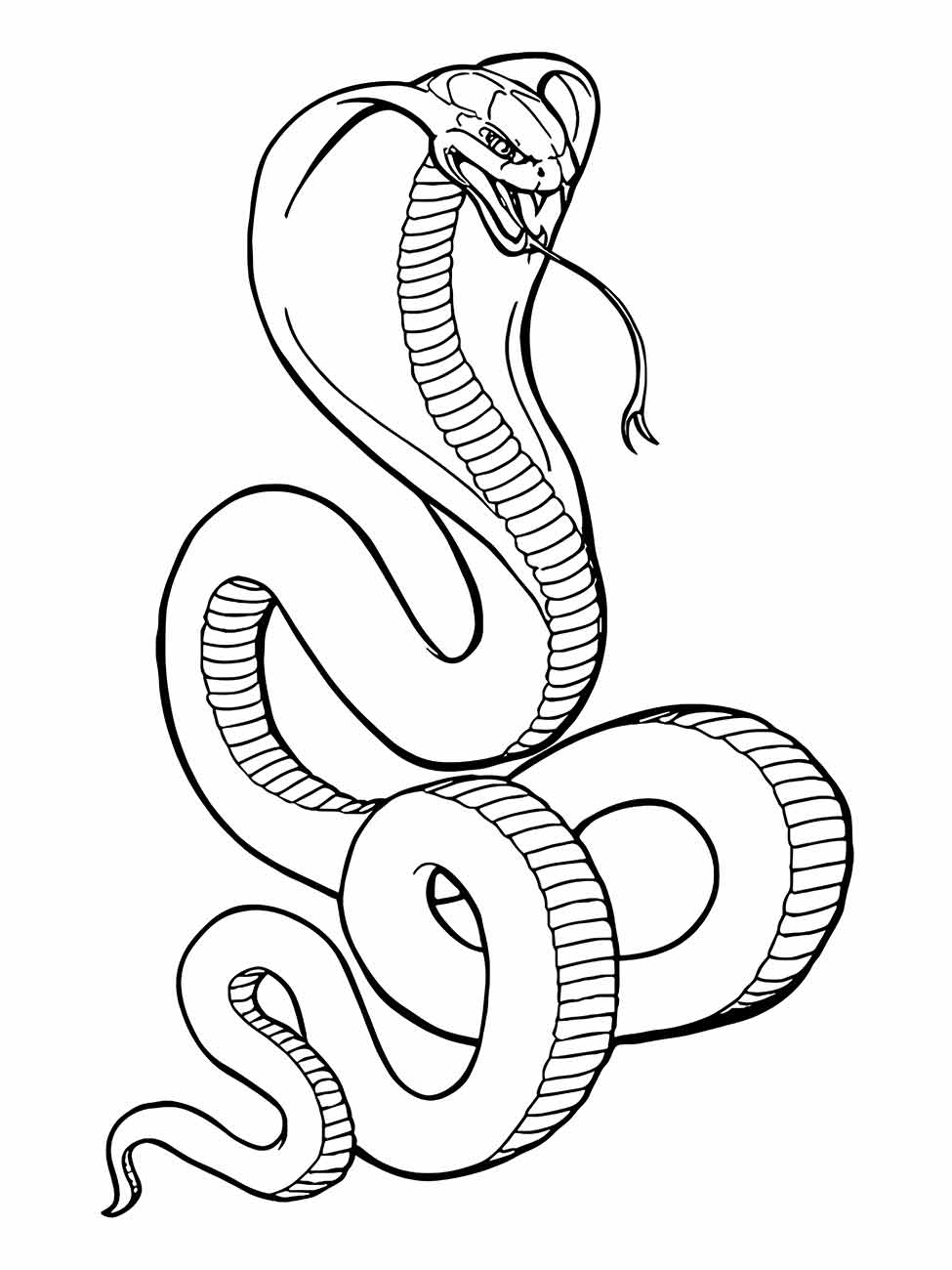 Snakes coloring page (15)