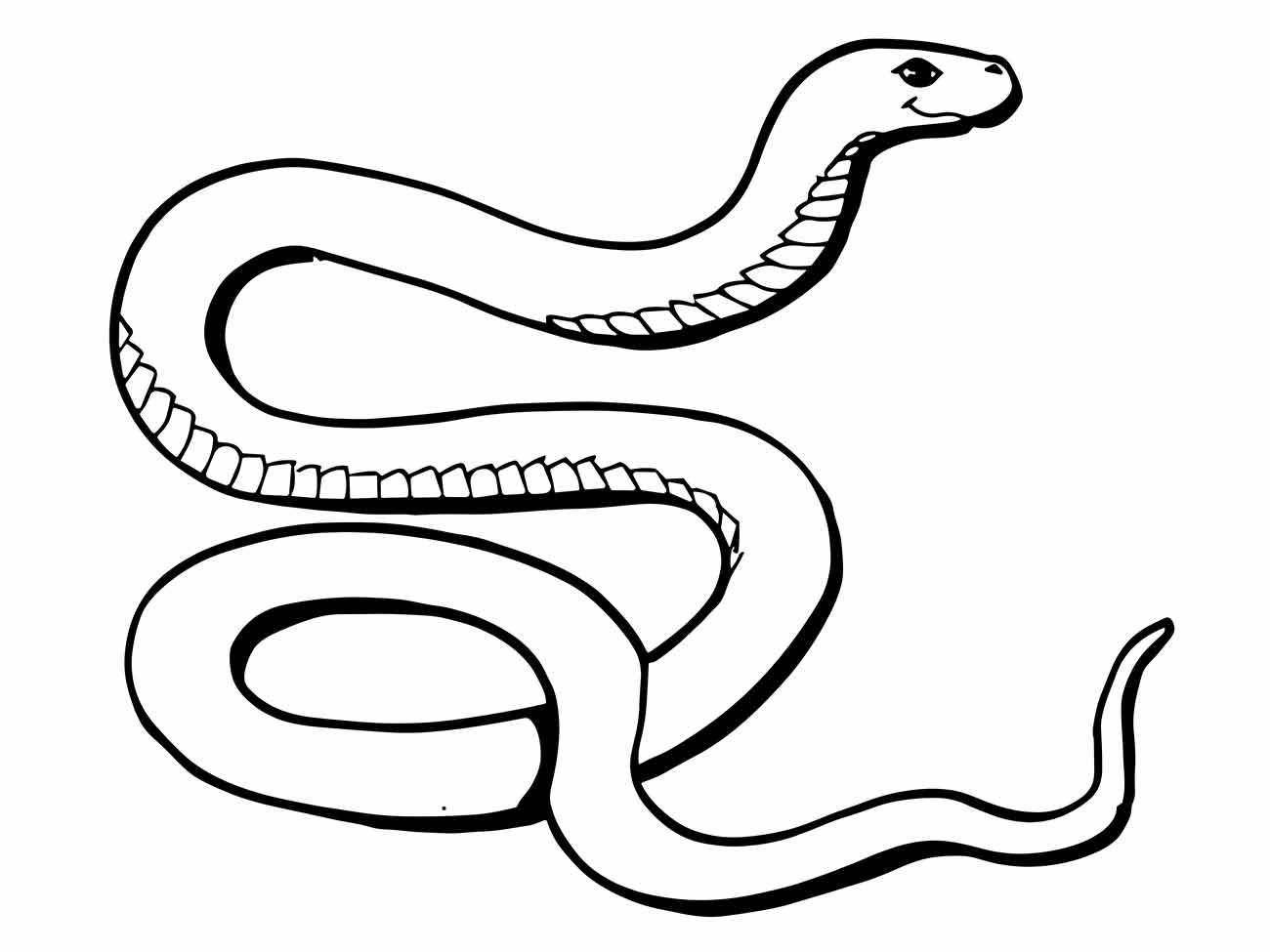 Snakes coloring page (2)