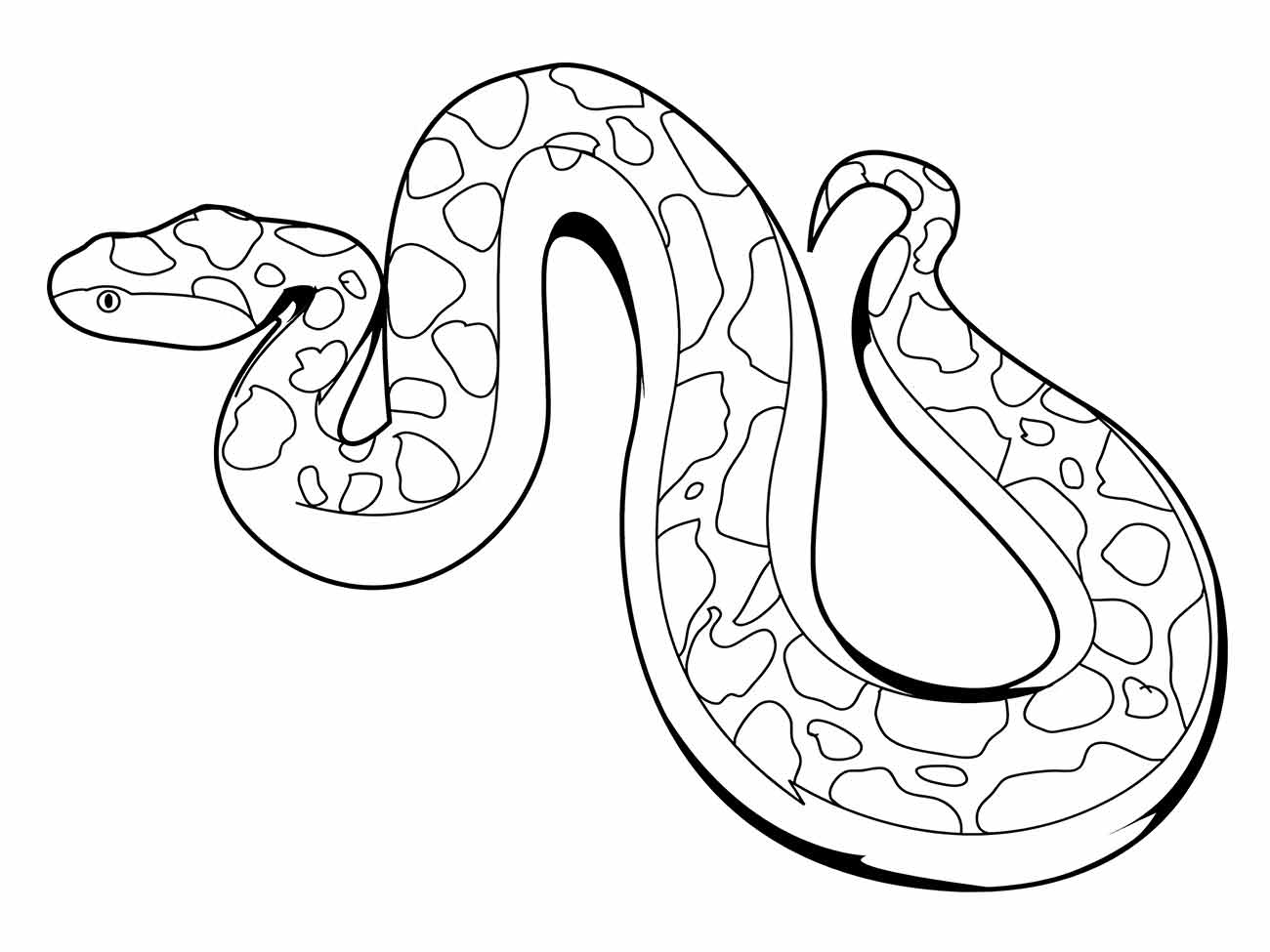 Snakes coloring page (20)