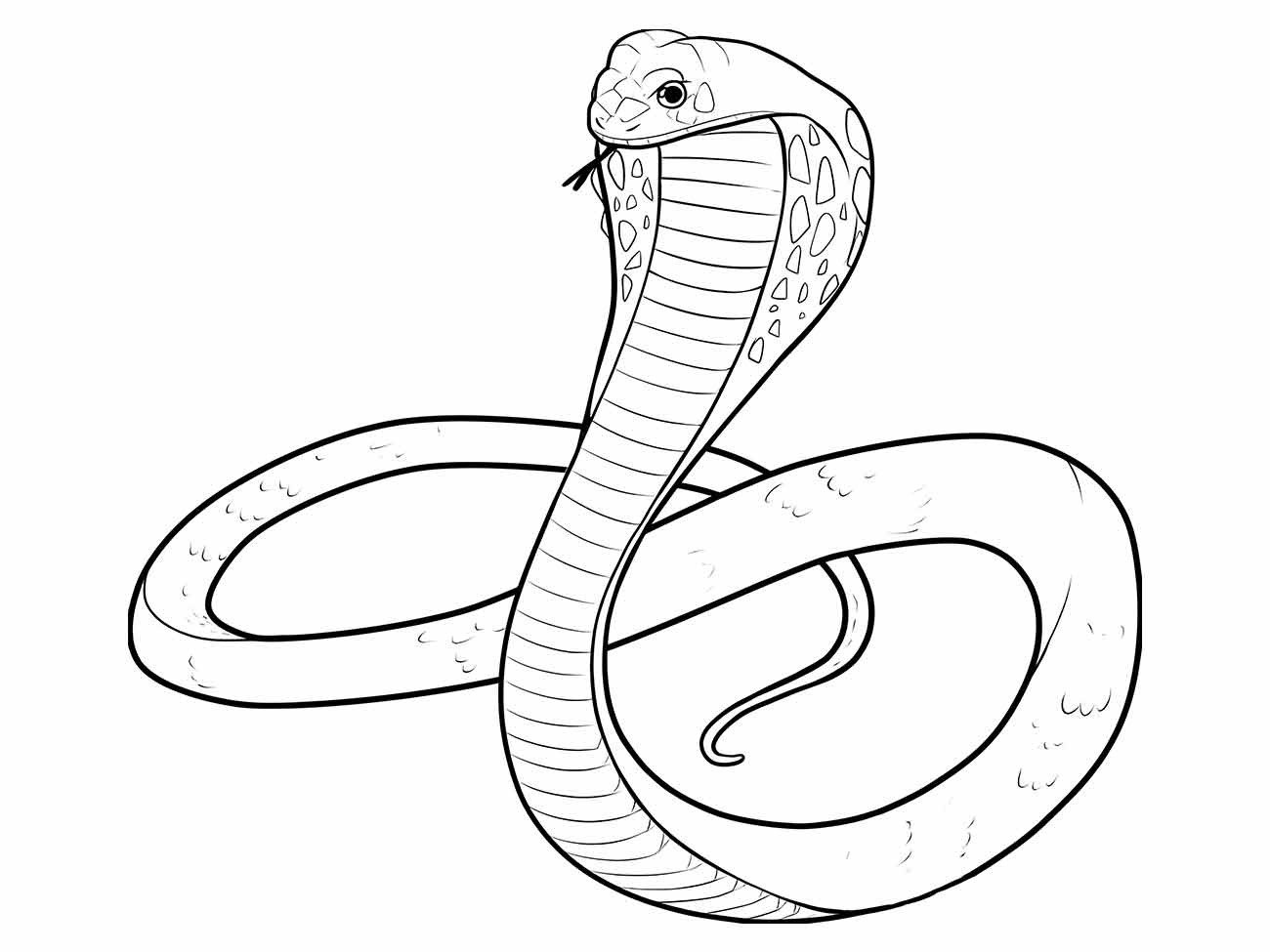 Snakes coloring page (6)