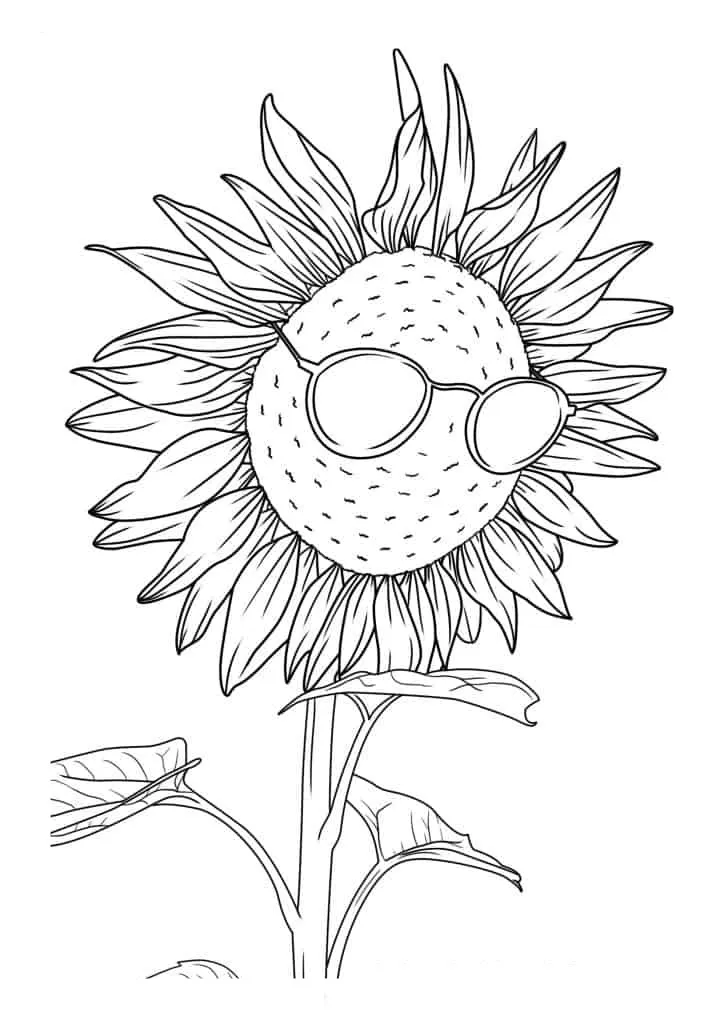 Sunflower Coloring Page (23)