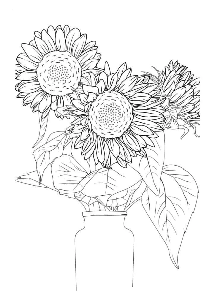 Sunflower Coloring Page (30)