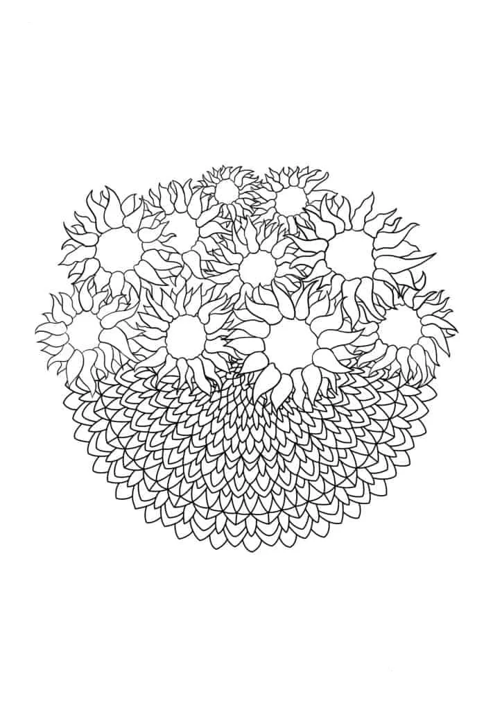 Sunflower Coloring Page (35)