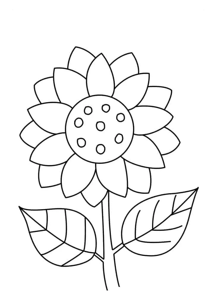 Sunflower Coloring Page (37)