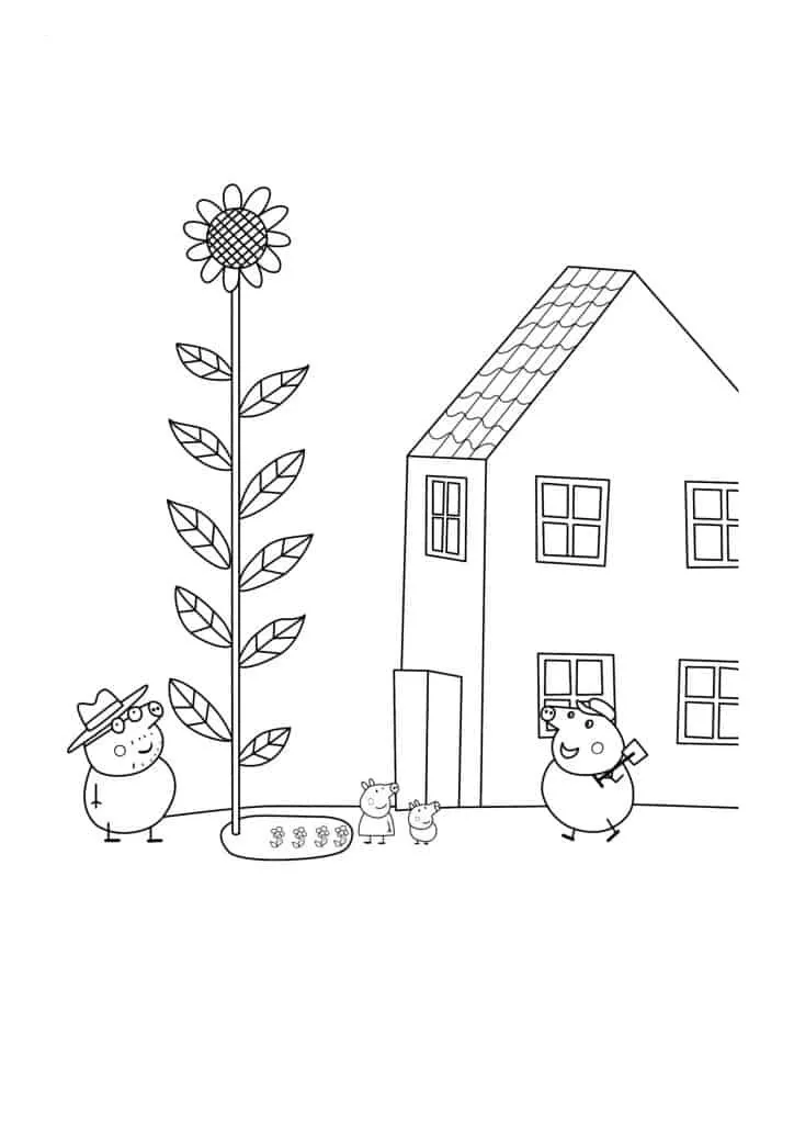 Sunflower Coloring Page (38)