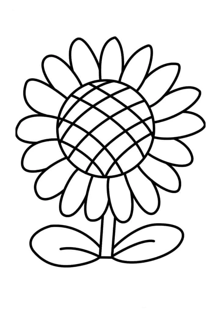 Sunflower Coloring Page (42)