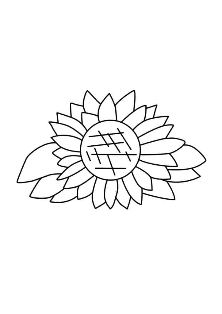 Sunflower Coloring Page (45)