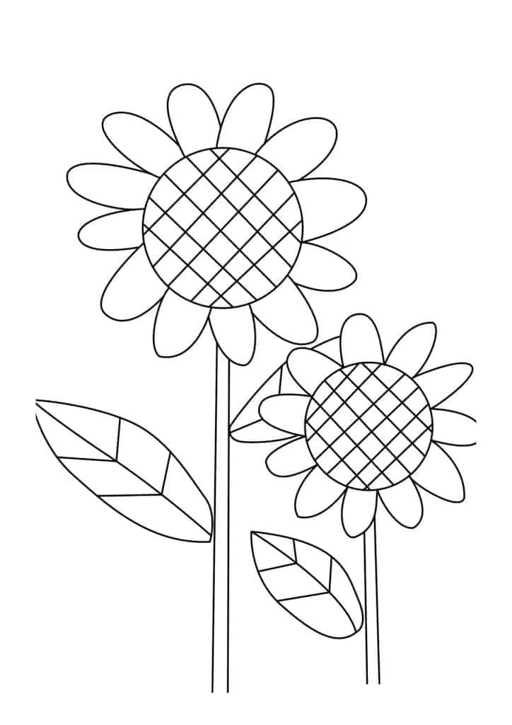 Sunflower Coloring Page (47)