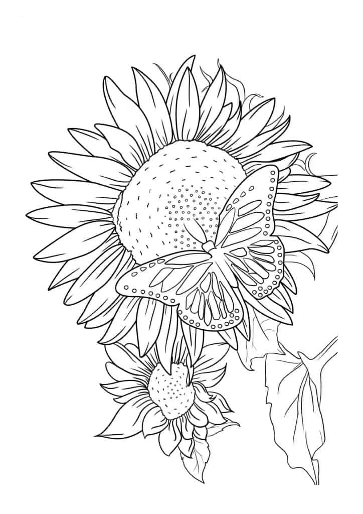 Sunflower Coloring Page (51)