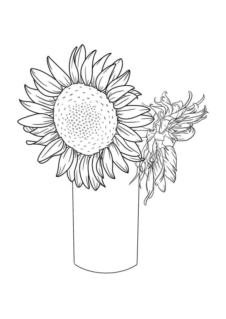 Sunflower Coloring Page (55)