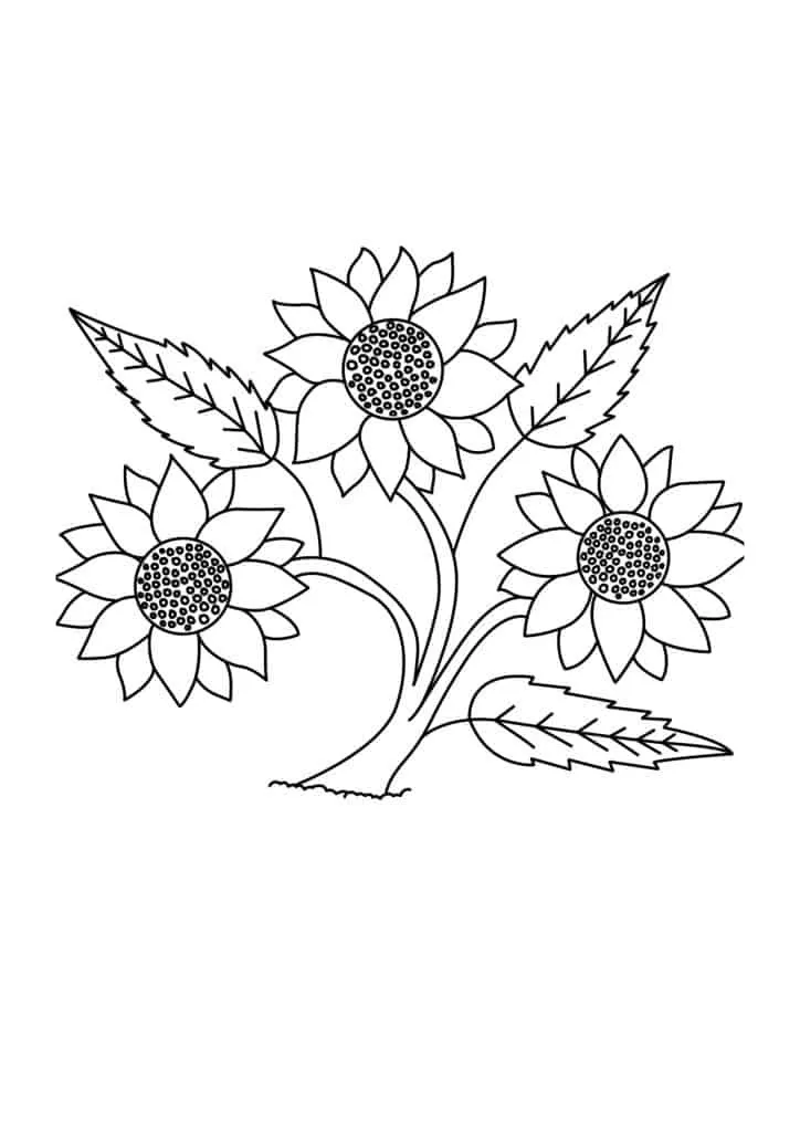 Sunflower Coloring Page (59)