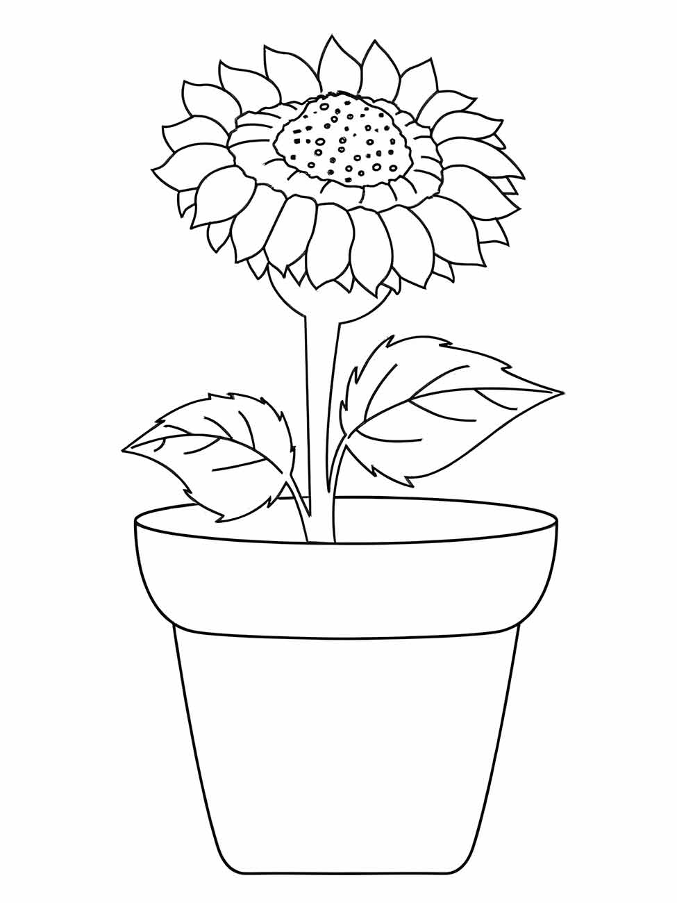 Sunflower coloring page (13)