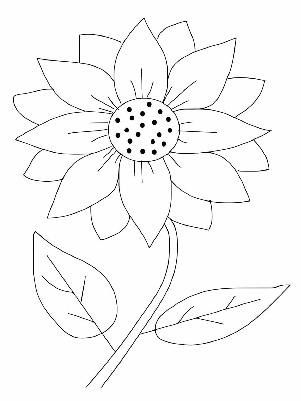 Sunflower coloring page (14)