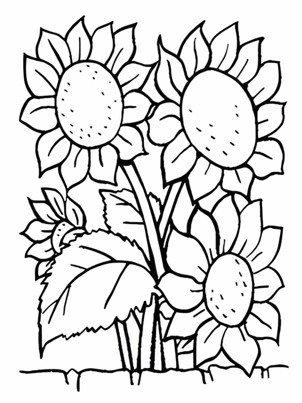 Sunflower coloring page (15)