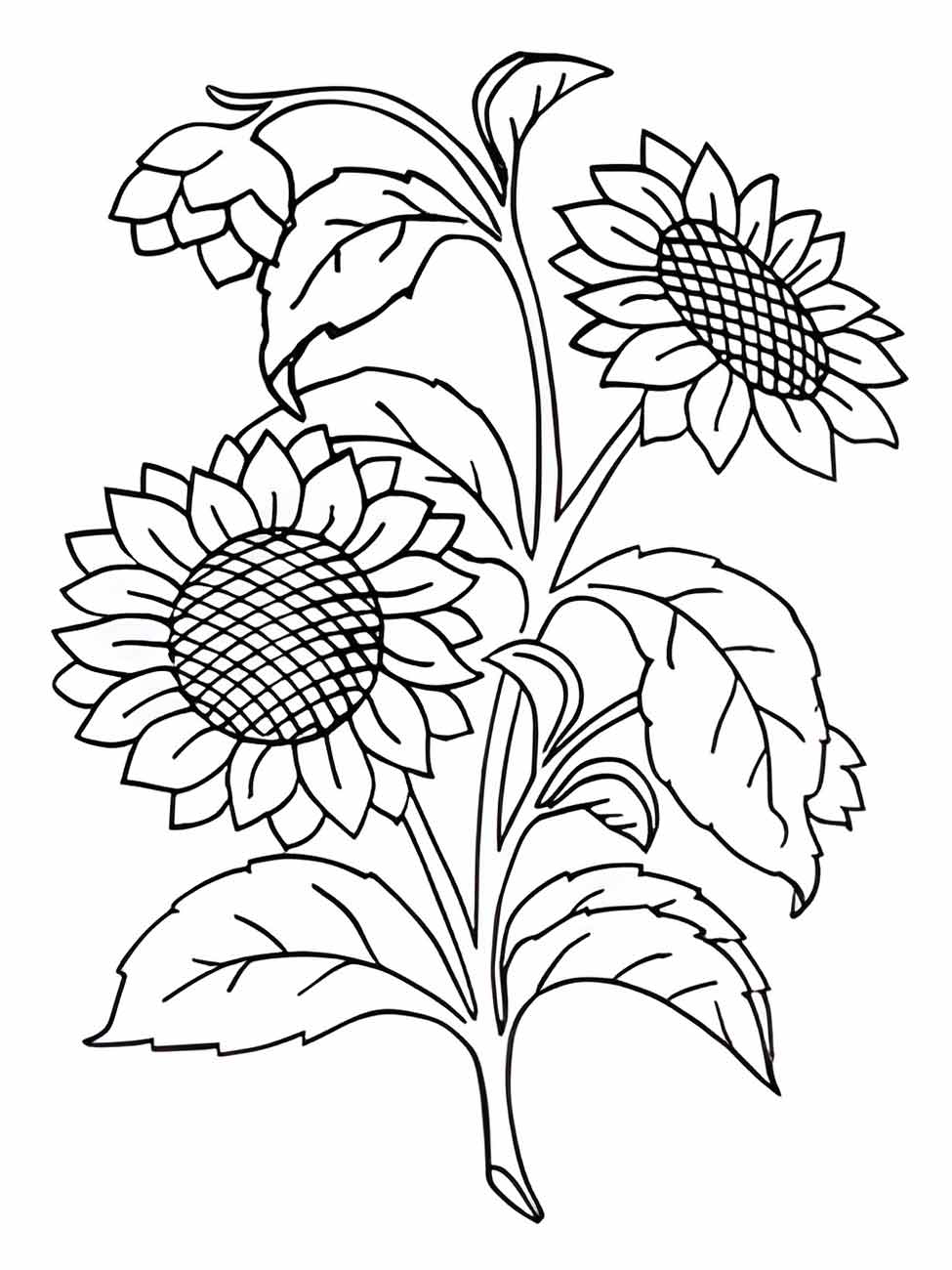 Sunflower coloring page (16)