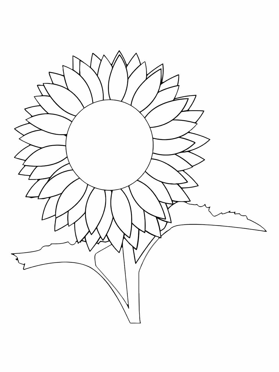 Sunflower coloring page (2)