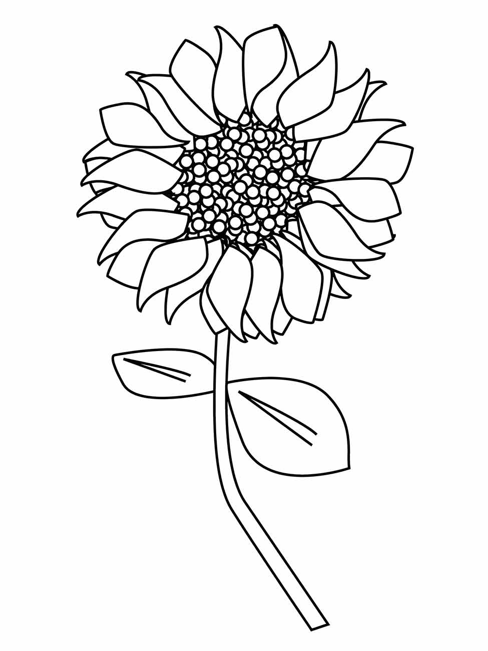 Sunflower coloring page (20)