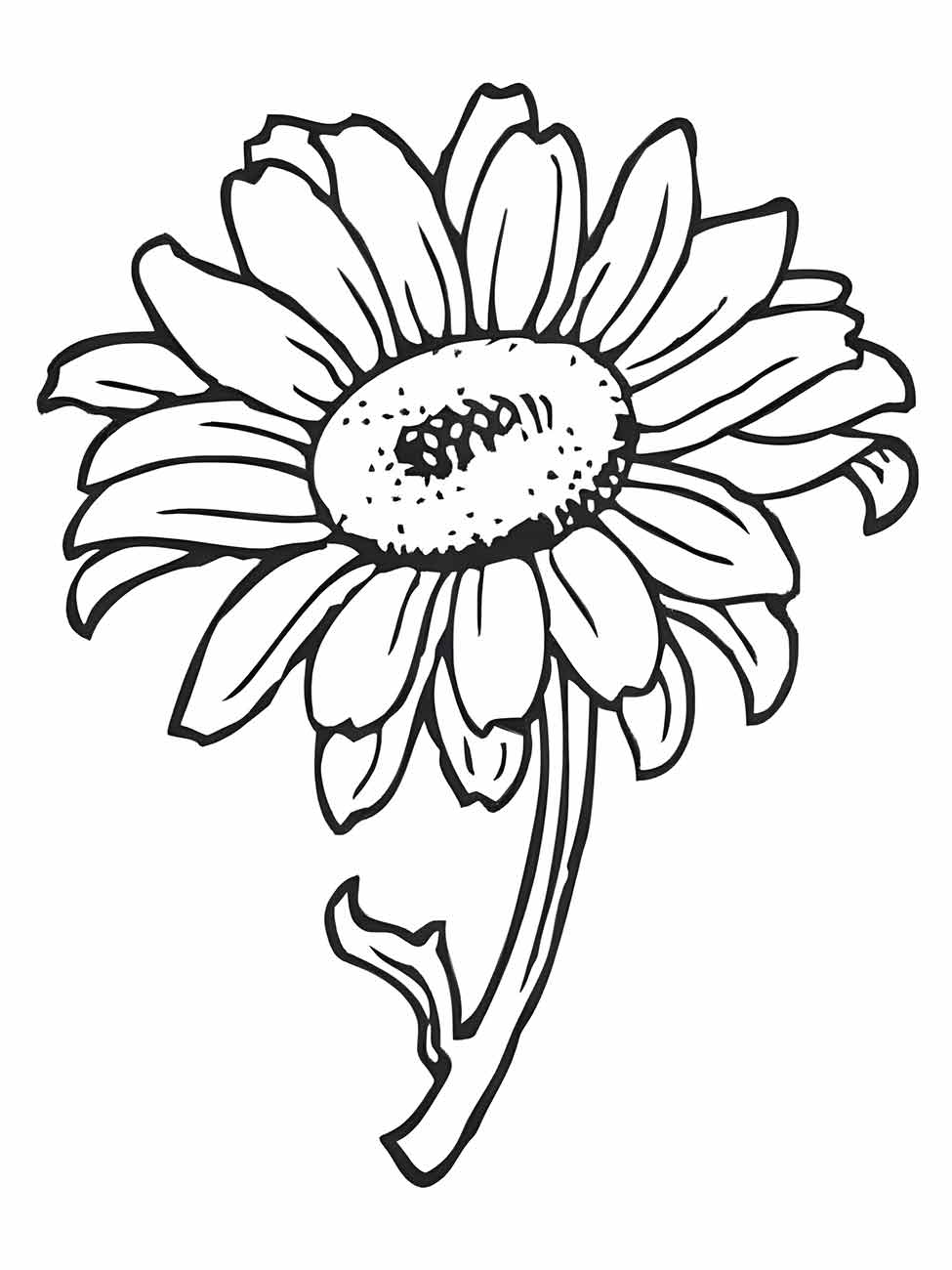 Sunflower coloring page (21)