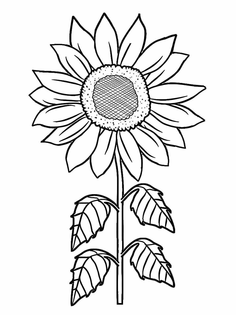 Sunflower coloring page (22)