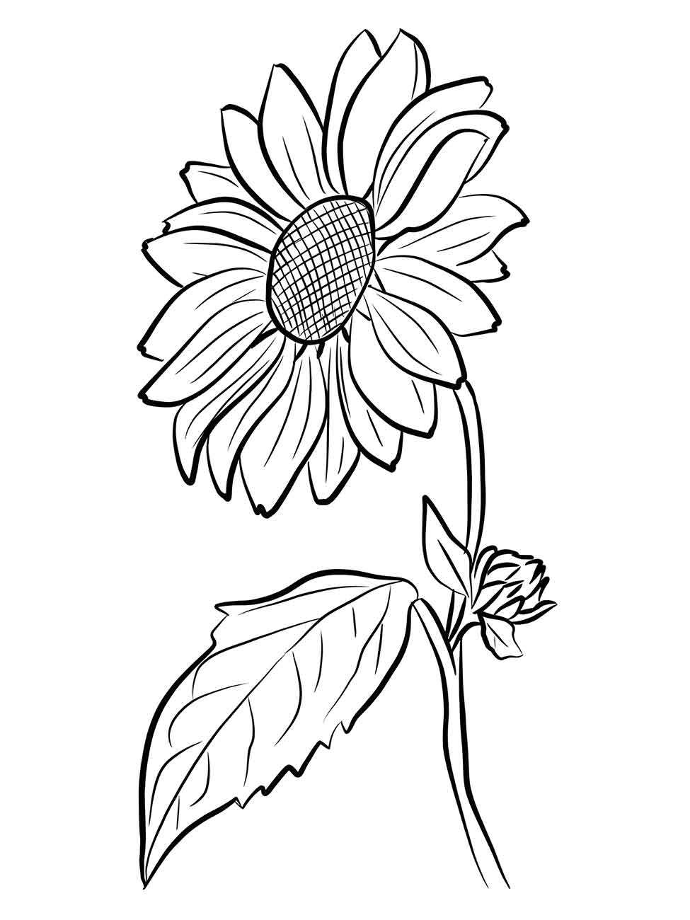 Sunflower coloring page (23)