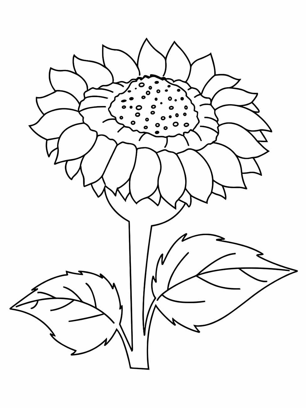 Sunflower coloring page (24)