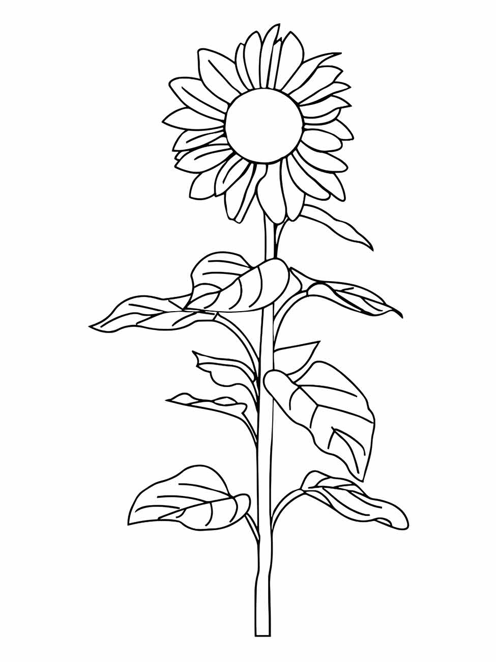 Sunflower coloring page (3)