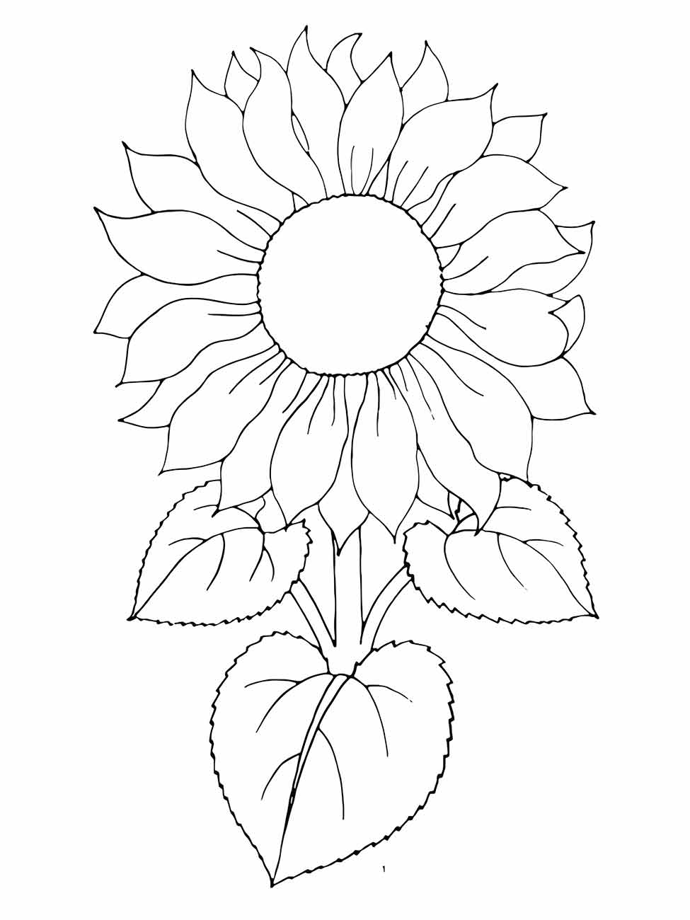 Sunflower coloring page (4)