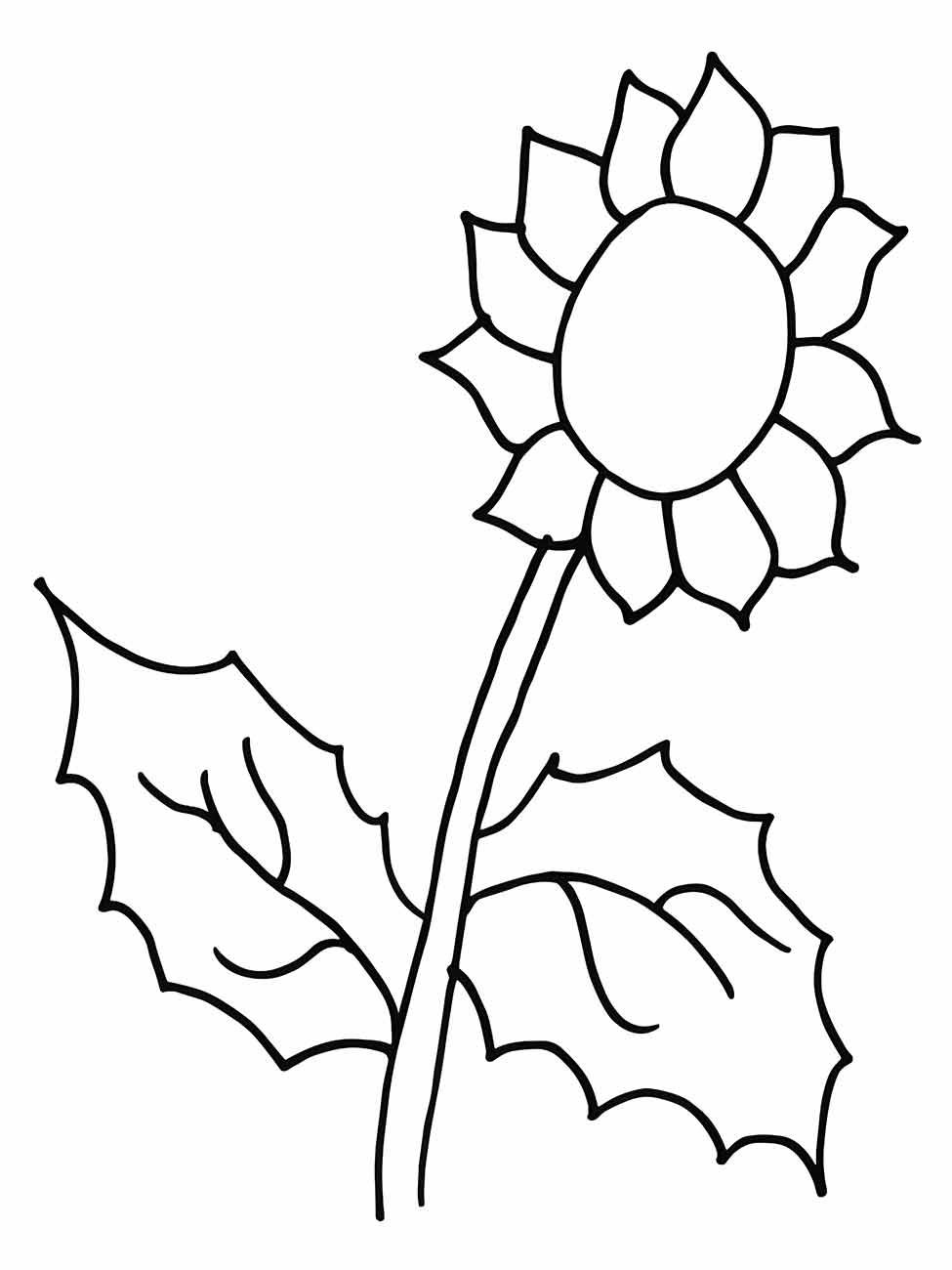 Sunflower coloring page (5)