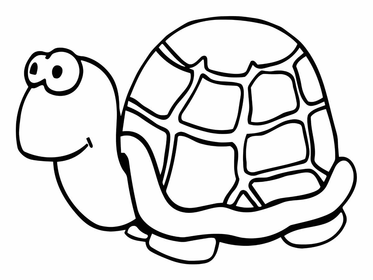 Turtle coloring page (1)