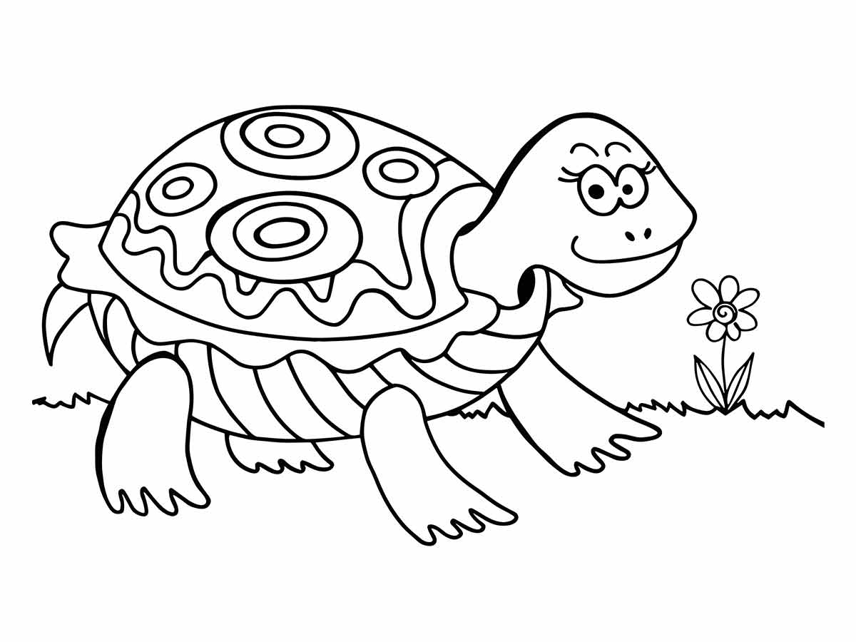 Turtle coloring page (10)