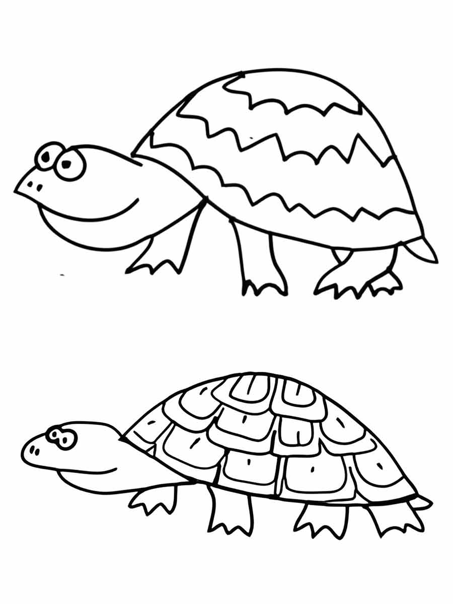 Turtle coloring page (13)