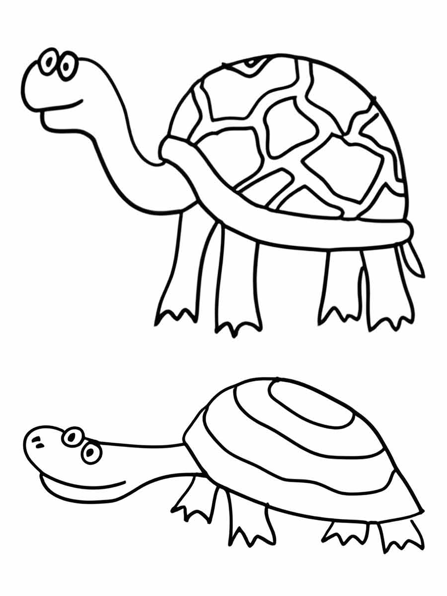 Turtle coloring page (14)