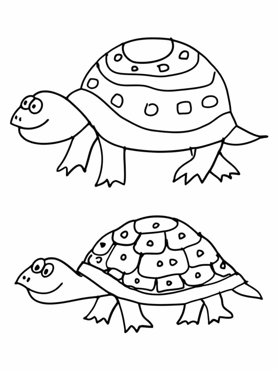 Turtle coloring page (15)