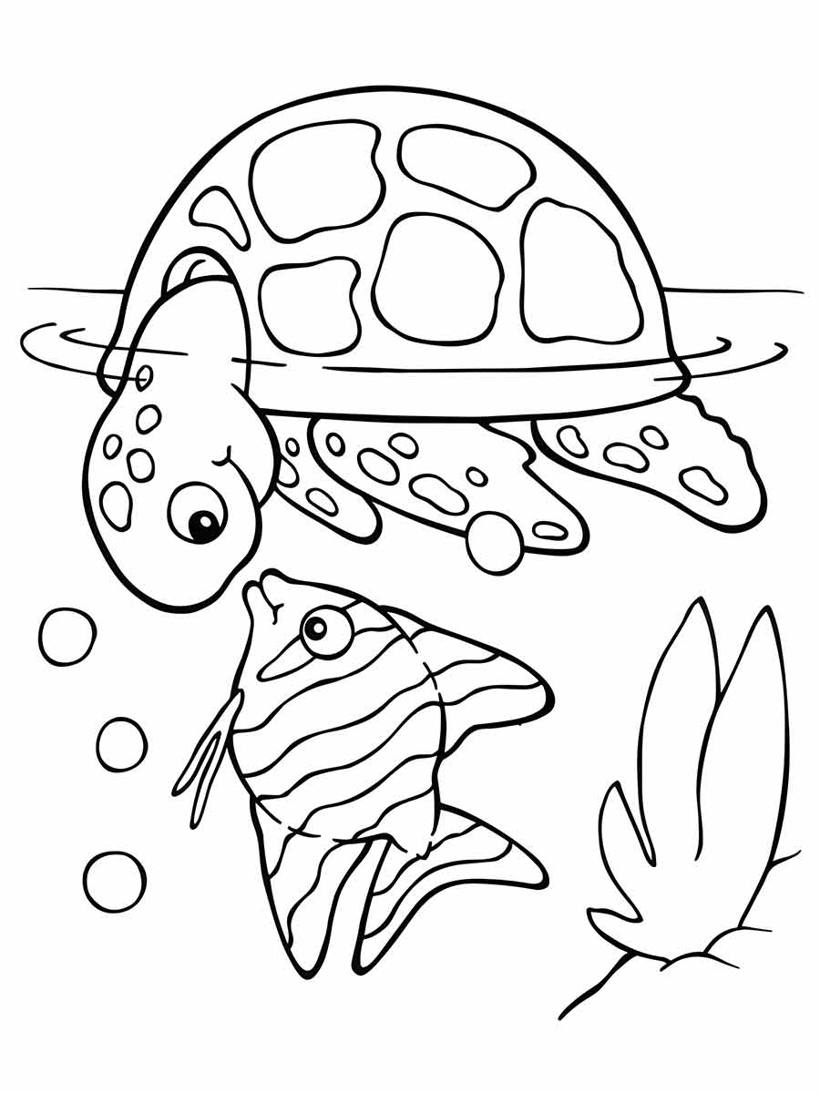 Turtle coloring page (20)