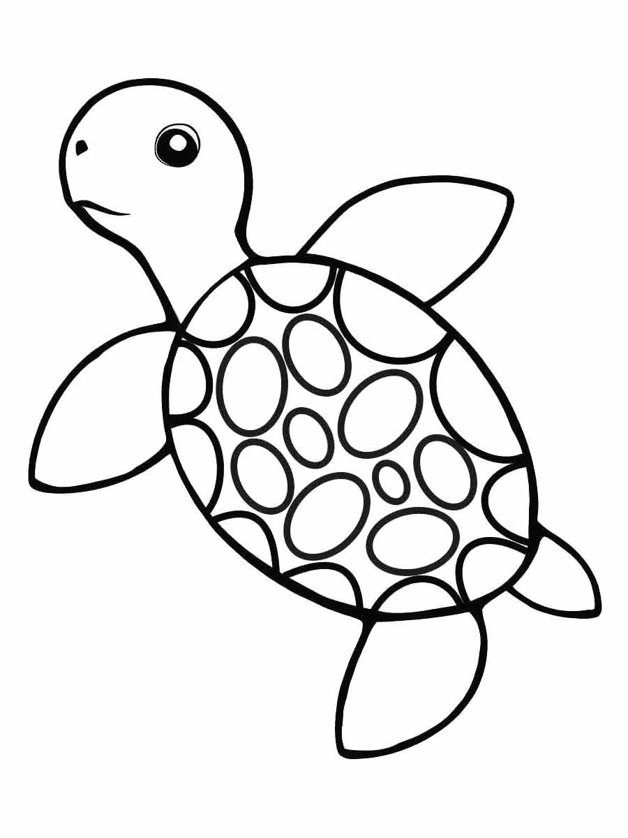 Turtle coloring page (21)