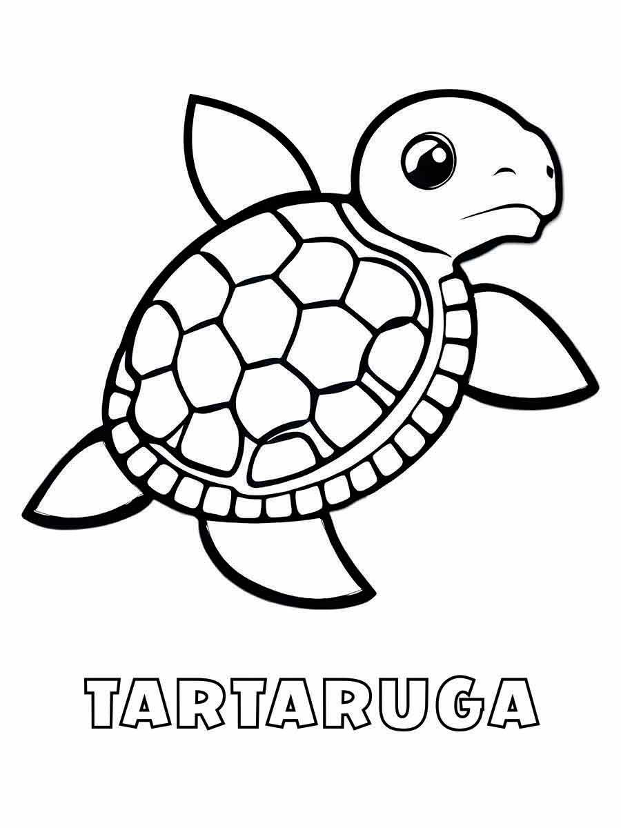 Turtle coloring page (22)