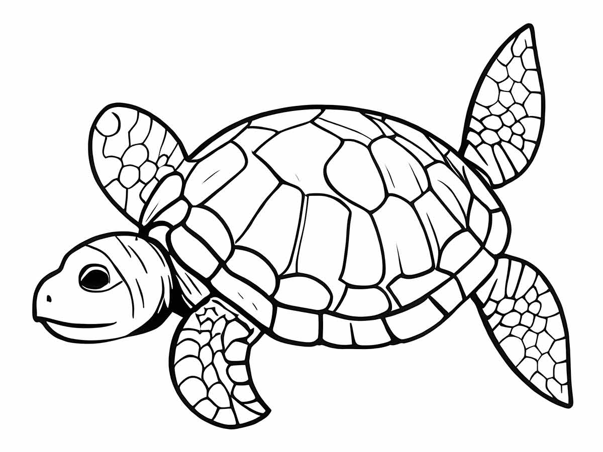 Turtle coloring page (23)